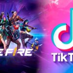 Las Categorías Más Populares Y Lo Que Revelan Sobre Tus Gustos